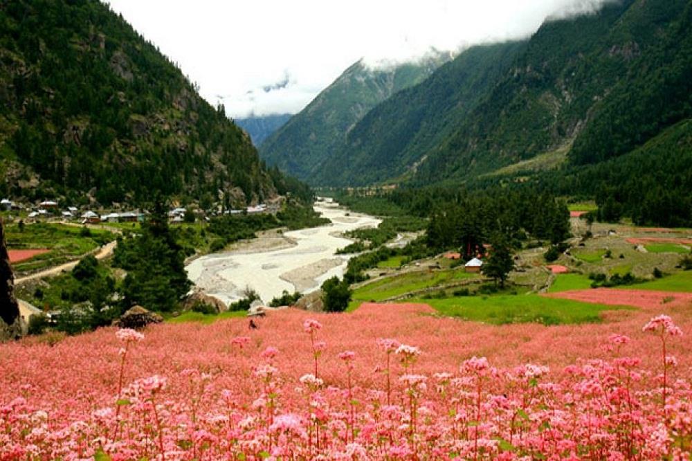 Holiday In Kinnaur Tour Packages