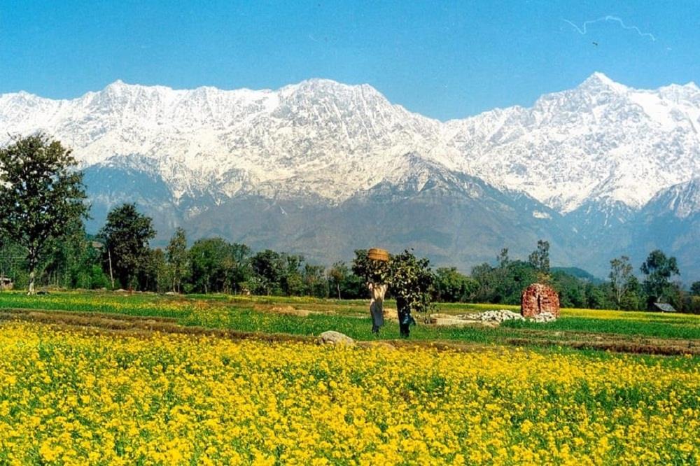 Kangra Valley Tour Packages