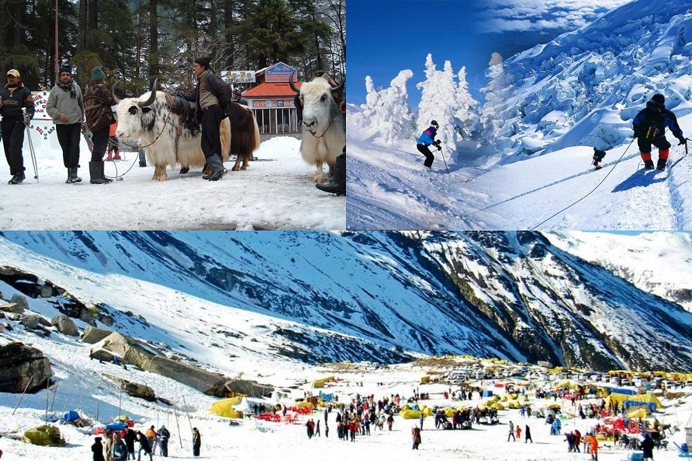 Shimla Manali tour Packages from Chandigarh