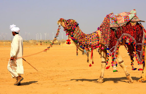 Explore Rajasthan Tour Packages
